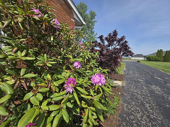5th image of 342 Pleasant Hill Dr