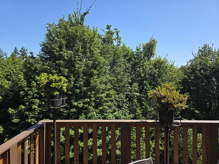 540 Wilderness Peak Dr NW — Photo 22