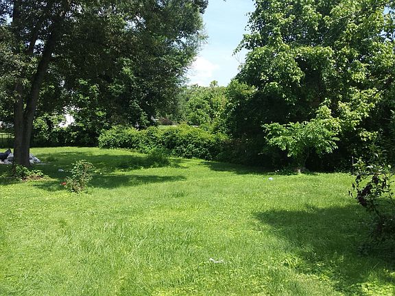 Common Side Yard