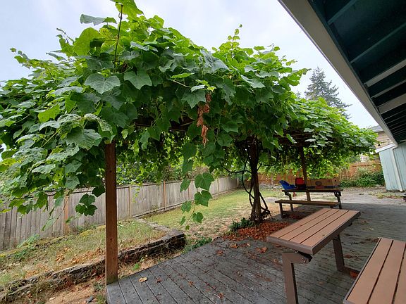 Back deck off slider with massive grape arbor - tons of delicious green grapes in August and September