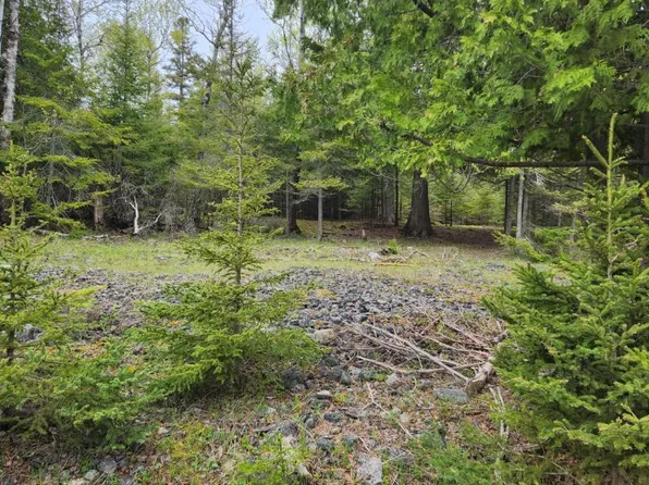 S Black Rock Point Rd Lot 13, Drummond Island, MI 49726