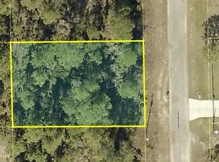 2007 Grayson Ave, Alva, FL 33920