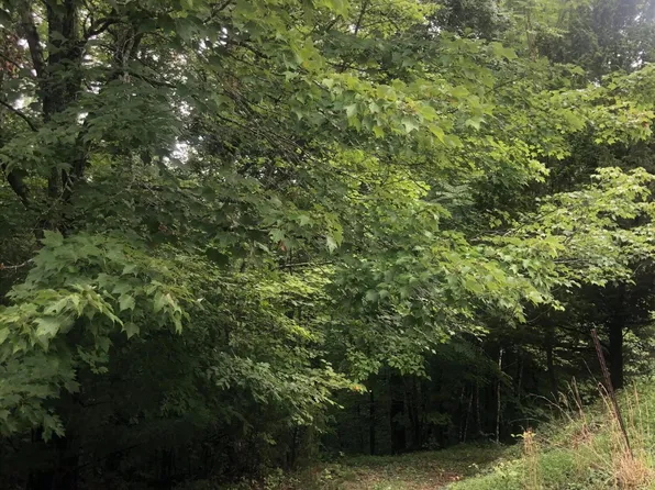 80 Bass Cir #B, Nancy, KY 42544