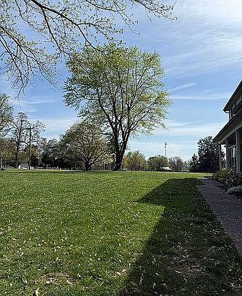 Front yard 