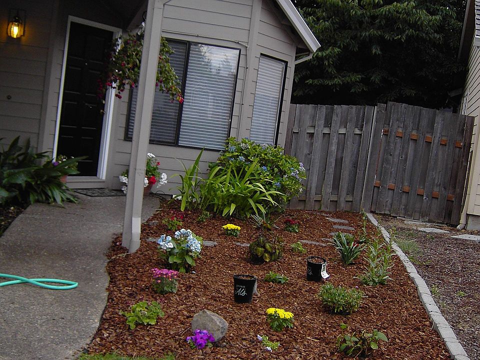 Front Door and garden