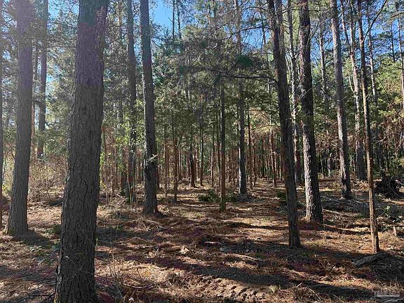 5th image of LOT 9 Rockaway Creek Rd