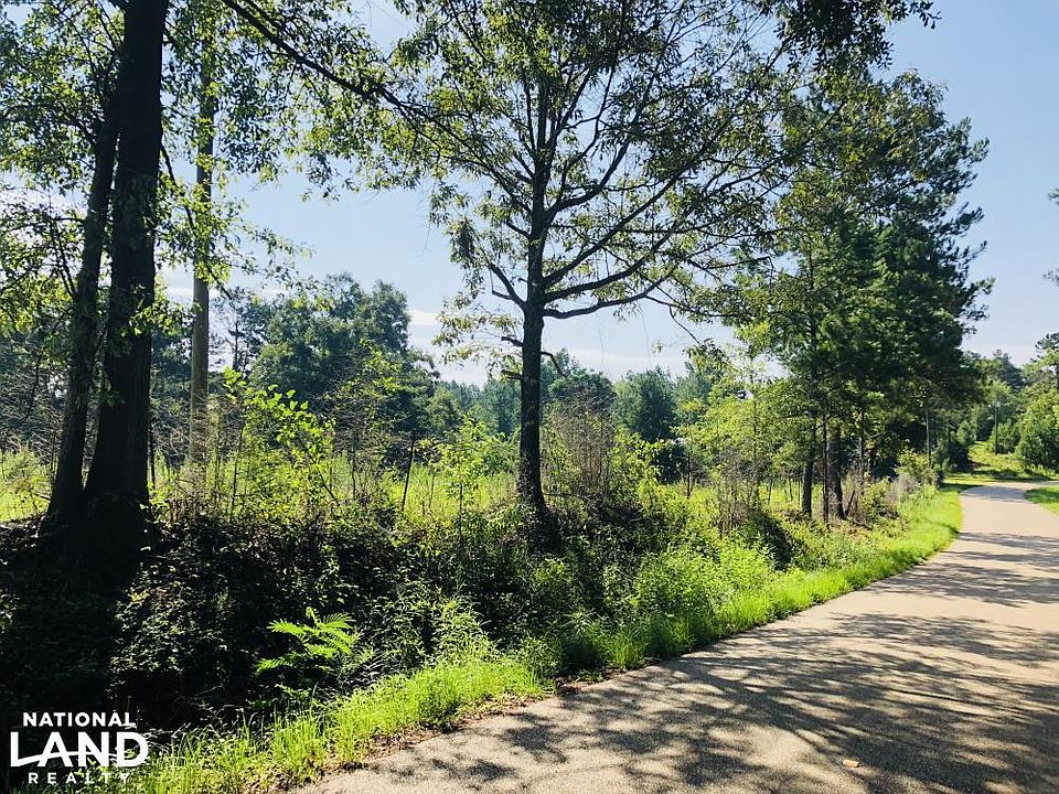 Beautiful road frontage