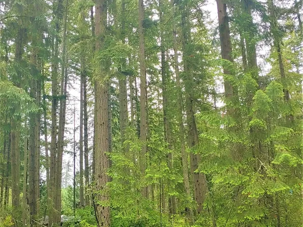 10014 Edgewood Drive, Anderson Island, WA 98303