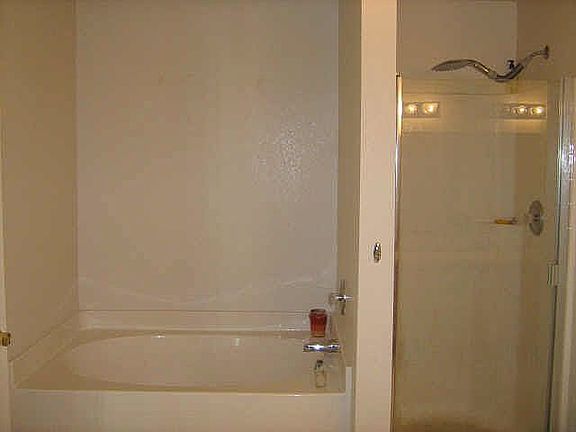Master Tub and Shower
