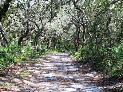 Pine Meadows Golf Course Rd, Eustis, FL, 32726