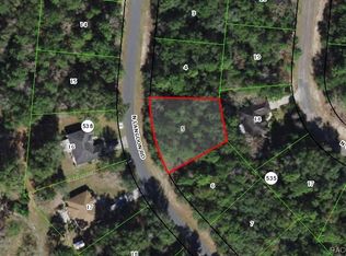 10097 N Langdon Rd, Citrus Springs, FL 34434