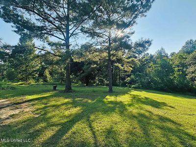 146 Hundred Acre Rd, Neely, MS, 39461