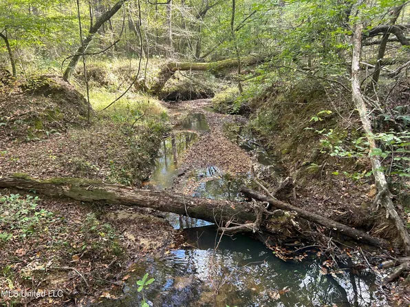 Crews Ln, Crystal Springs, MS 39059