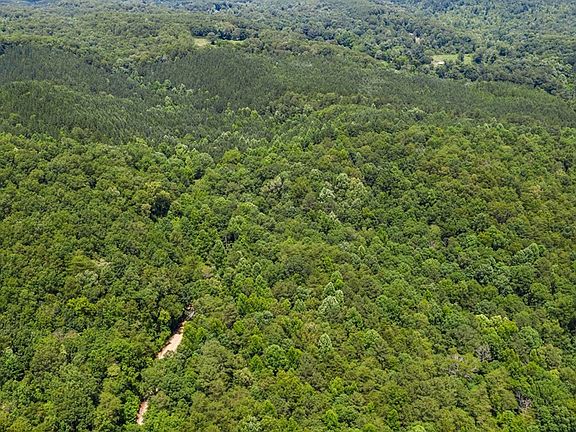 3rd image of 0 Horns Creek Rd Lot 3