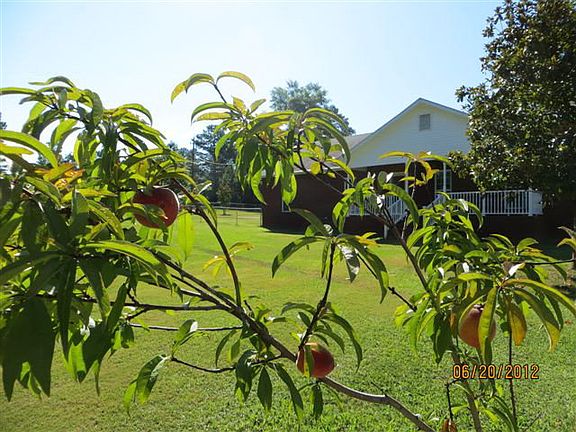 2nd image of 1308 Lee Road 279