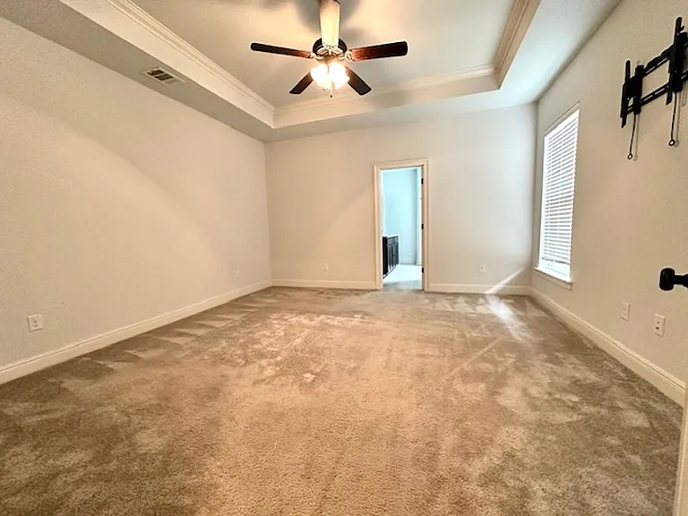 101 Lexi Falls Ln — Photo 8
