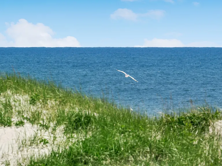 Dune Rd — Photo 30
