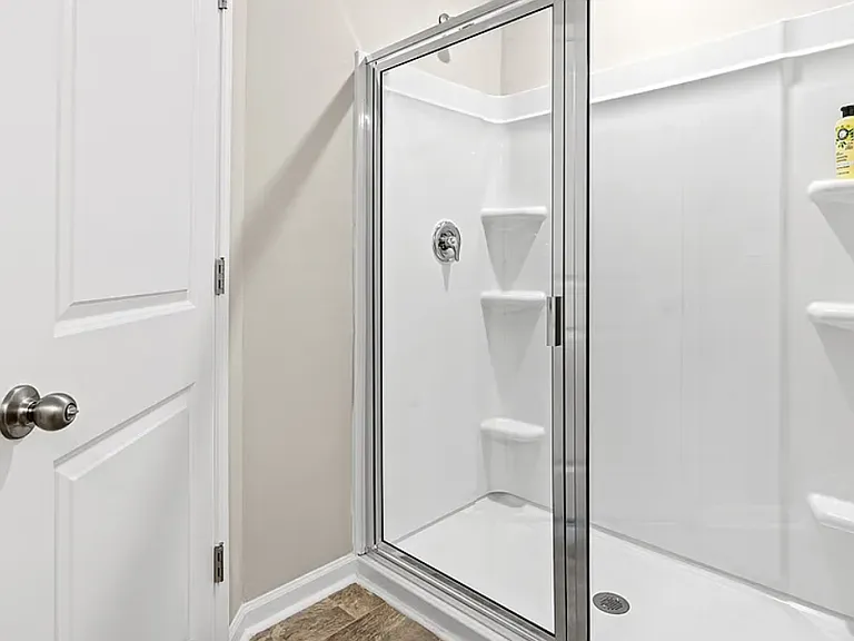 Master Bathroom Shower