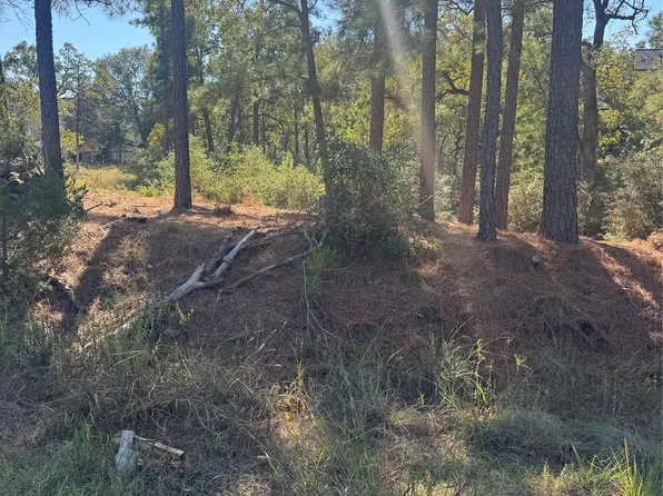 97 Kaelepulu Dr, Bastrop, TX 78602