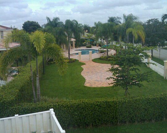 Pool Located Behind the House