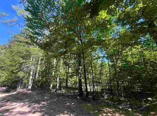 Matz Rd, Boyne Falls, MI 49713