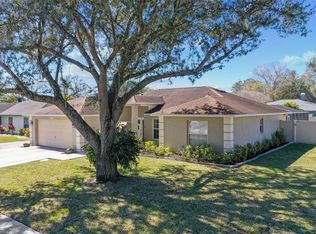 4910 Country Aire Ln, Tampa, FL 33624