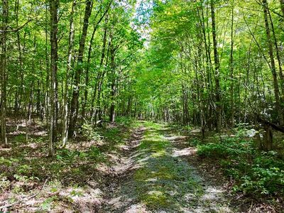 Crawfish Rd, Atkins, VA, 24311