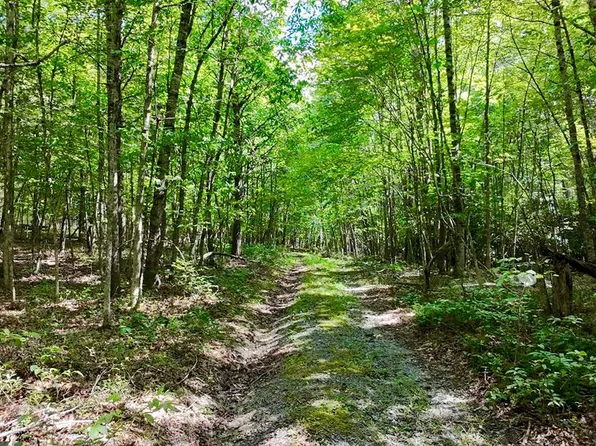 Crawfish Rd, Atkins, VA 24311