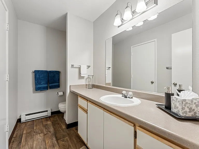Secondary Bath | 2-Bedroom | Clermont
