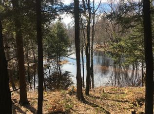 E Middle Branch Rd, Diana, NY 13648