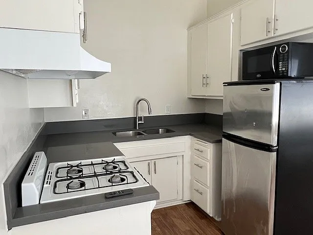 1 bed, 700 sqft, $2,500 — Photo 4