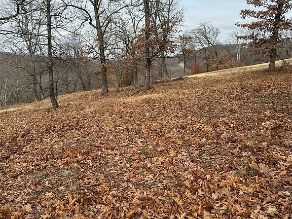 2nd image of 21 E Timbercrest Dr