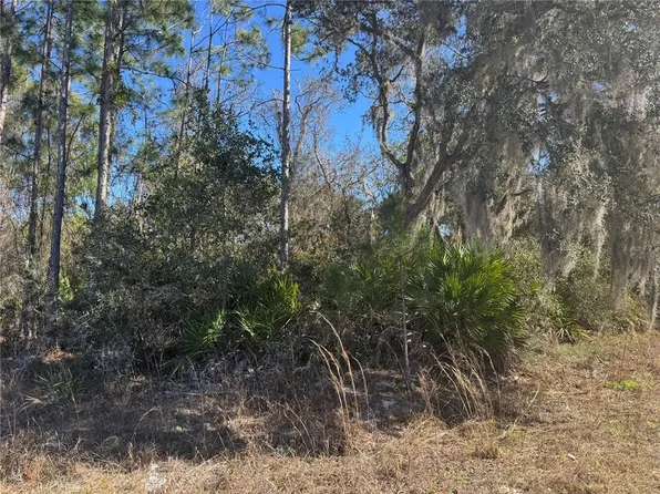 Grace Ave, Deland, FL 32720