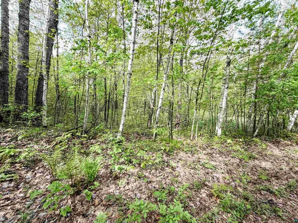 LOT 2 S Peterson Rd, Minong, WI 54859