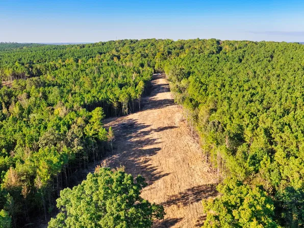0 Williams Grove Rd Lot 1, Camden, TN 38320
