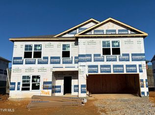 229 Artist Ave, Johnson City, TN 37615