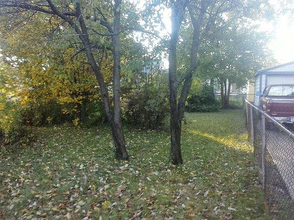 Backyard 1
