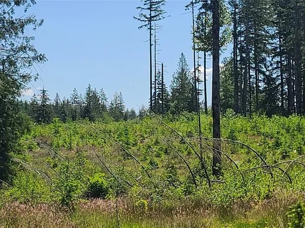 0 Logan Hill Road, Chehalis, WA 98532