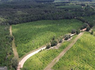 1 Beulah Rd, Sylvania, GA 30467