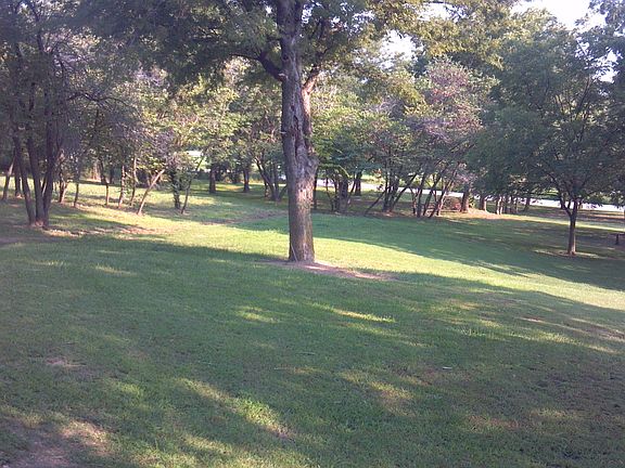 rolling hills mature trees