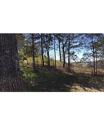 Enjoy a walk on the land