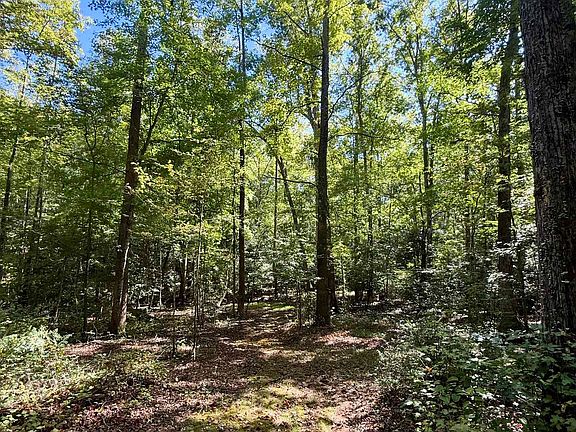 5th image of 1100 Tugaloo Rd