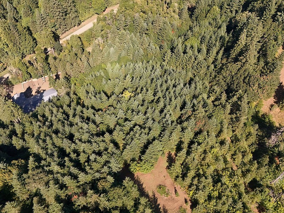 1st image of 22650 Doane Creek Rd