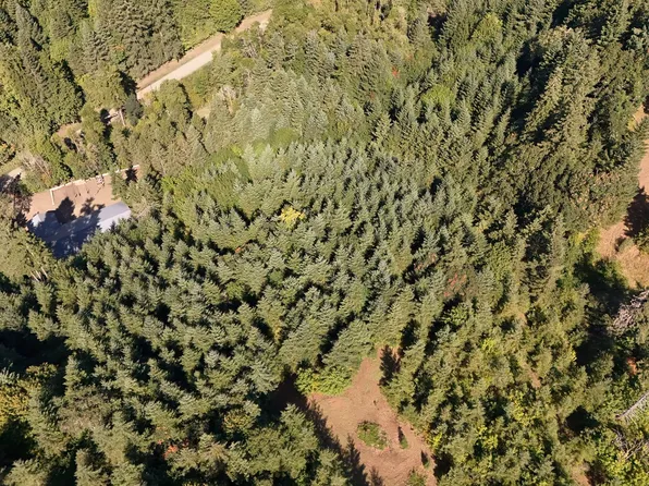 22650 Doane Creek Rd, Sheridan, OR 97378