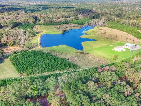 3199 Pepper House Rd, Centreville, MS 39631