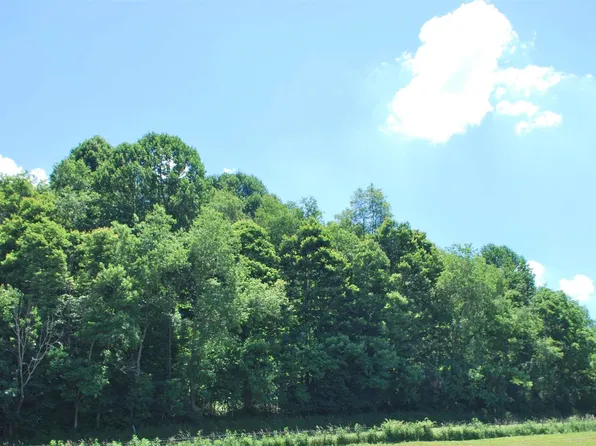 Birch Grove Rd, Ceres, VA 24318