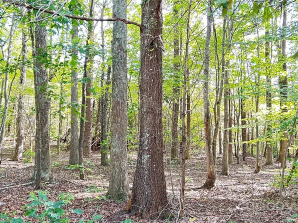 6711 McNeely Rd, Waxhaw, NC 28173