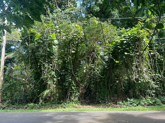 2nd image of Namohala St Lot 50
