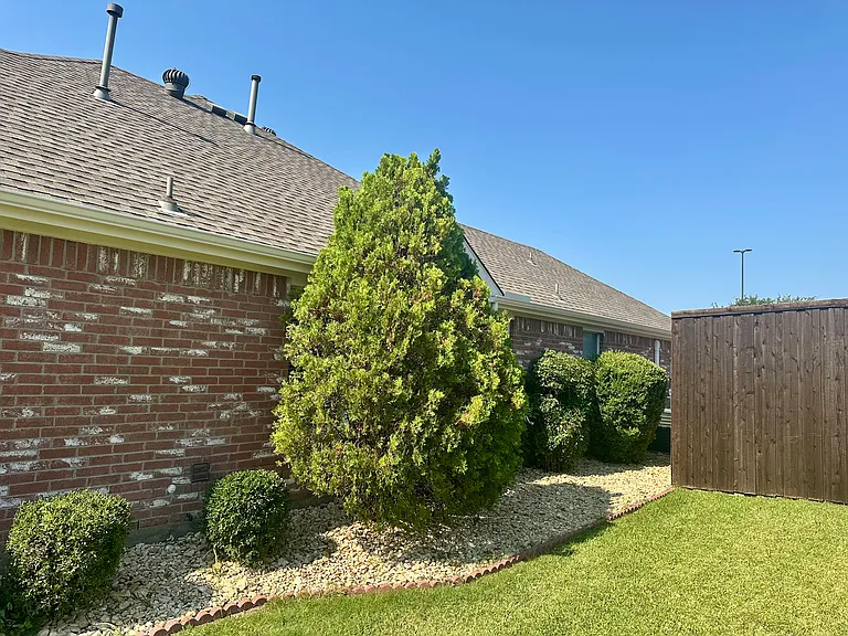 Side yard