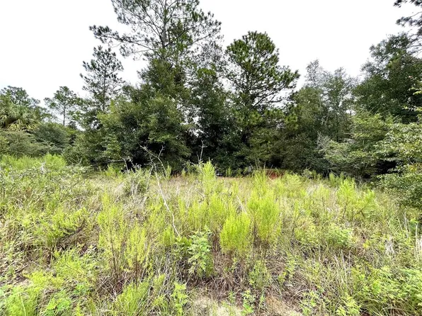 SW Begonia Ct #23, Dunnellon, FL 34431